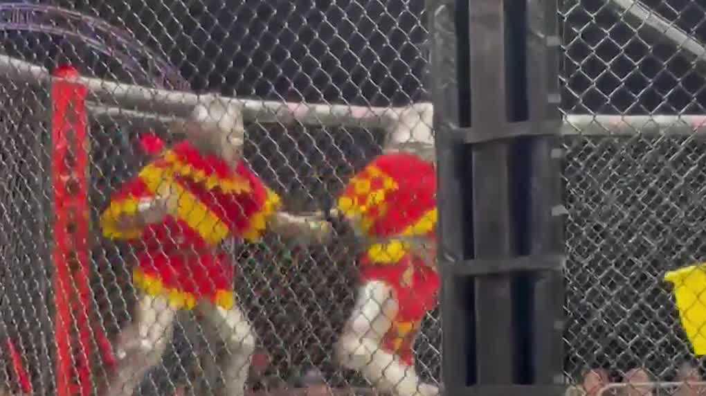 Ralston hosts Armored MMA event