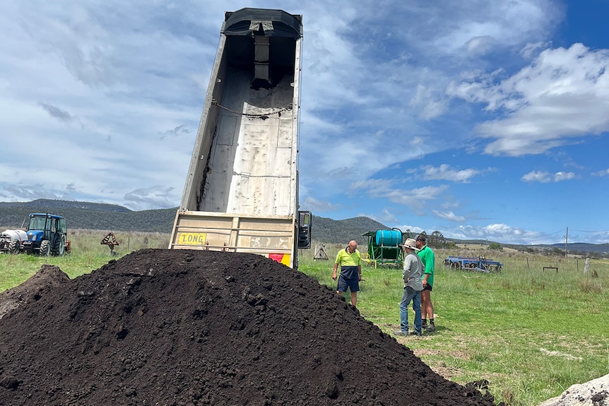 A truck tray tilted upward as it pours out a large pile of compost on a farm.