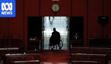 Federal government to pass its NDIS overhaul to deliver 'strong, safe and sustainable' scheme