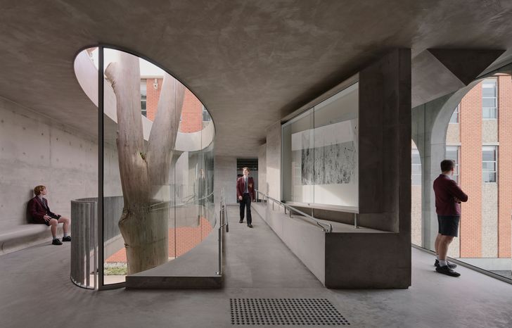 Gallery for a Tree by Farrell Wray