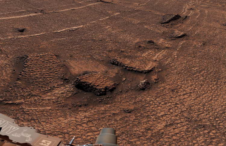NASA’s Curiosity Mars rover captured this close-up view, revealing the distinct honeycomb texture of these polygon fractures. (Credit: NASA/JPL-Caltech/MSSS)