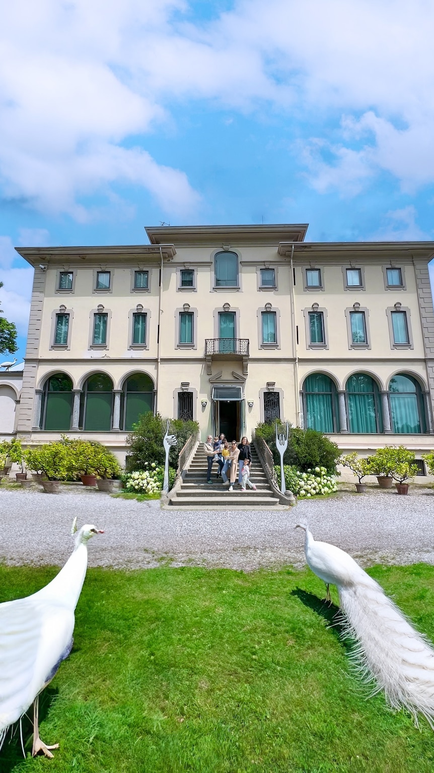 A two-storey stone building with blue glass windows and a gravel pathway, seen from green gardens with two white peacocks.