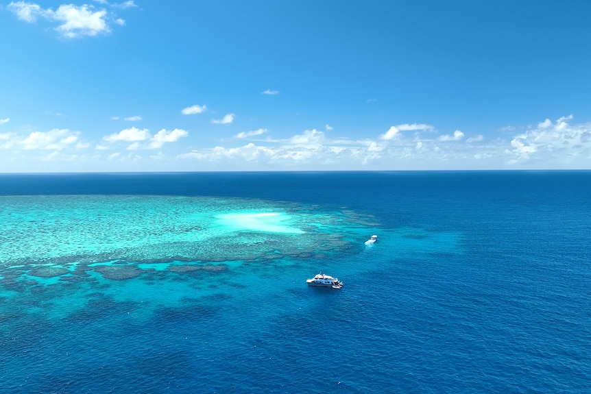 A drone shot on the Great Barrier Reef with a white boat in the middle of the blue water.