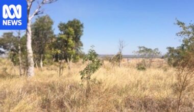 Home owners in far north WA dismayed by plans for 40m NBN tower