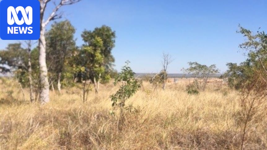 Home owners in far north WA dismayed by plans for 40m NBN tower