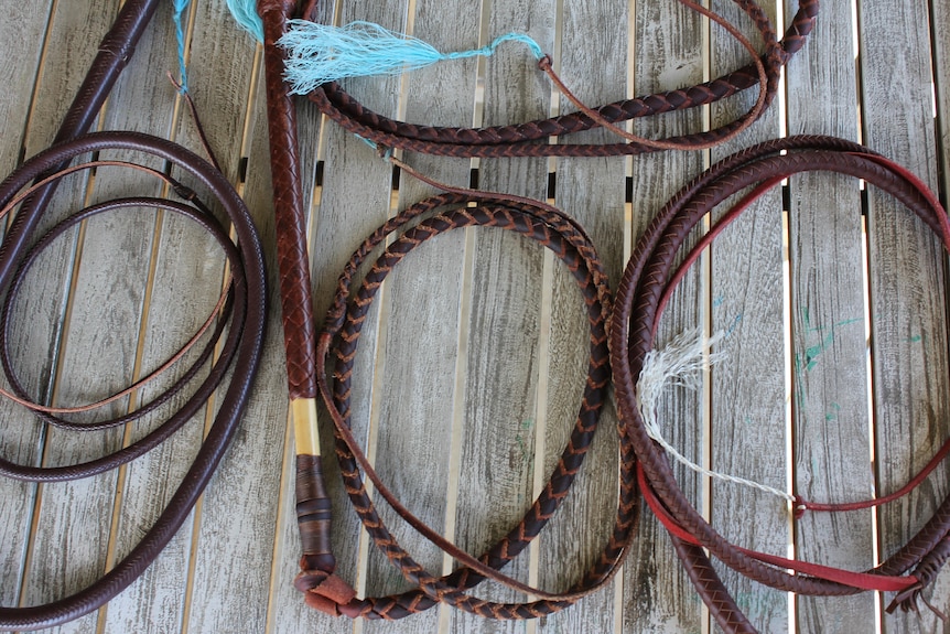 Four coiled whips pictured up close on a timber slatted table.
