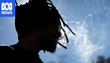 Cannabis linked to earlier onset of psychosis, with gap wider in older adults