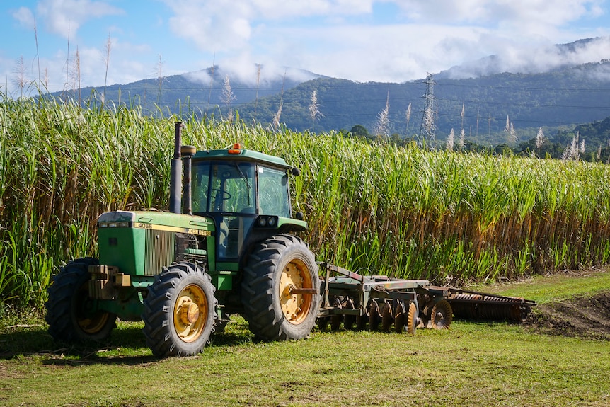 green tractor parked in from of cane field with mountains in the background