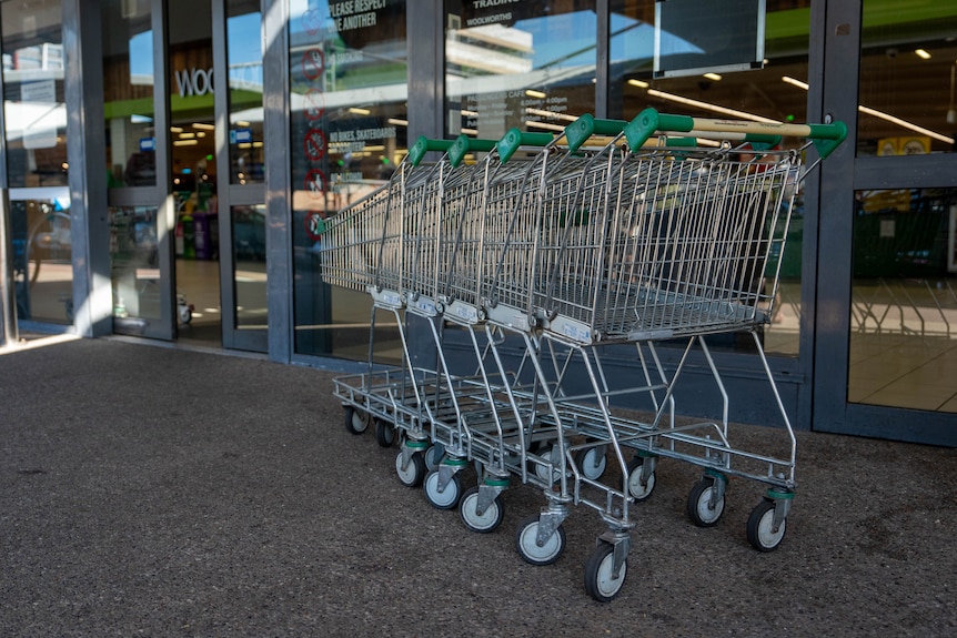 A row of Woolworths trolleys banked up outside the door of a supermarket.