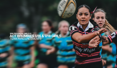 Brumbies Wordmark
