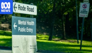 Coronial inquest into cluster of patient suicides hears Prince Charles Hospital mental health facility 'over capacity'