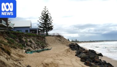 Engineer says 50 years of erosion research ignored by government and courts