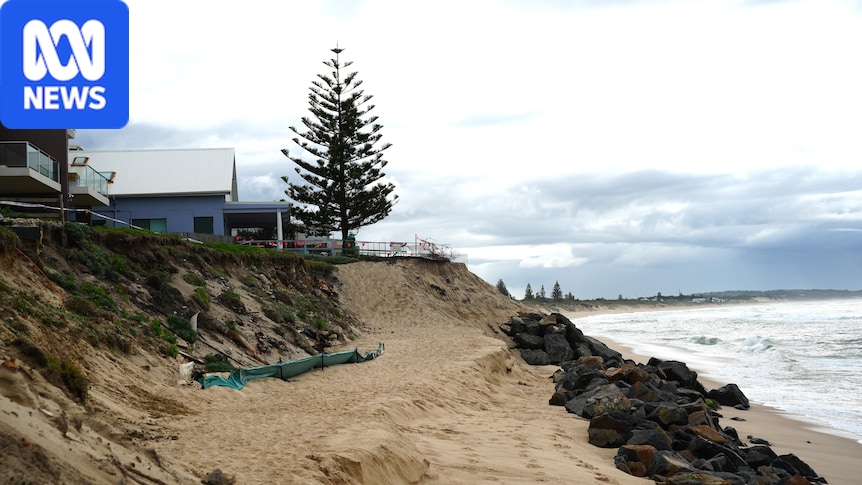 Engineer says 50 years of erosion research ignored by government and courts