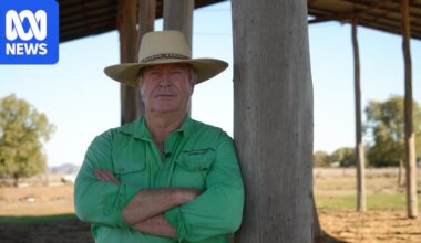 Drought cripples large swathes of southern Queensland amid severe hay shortage