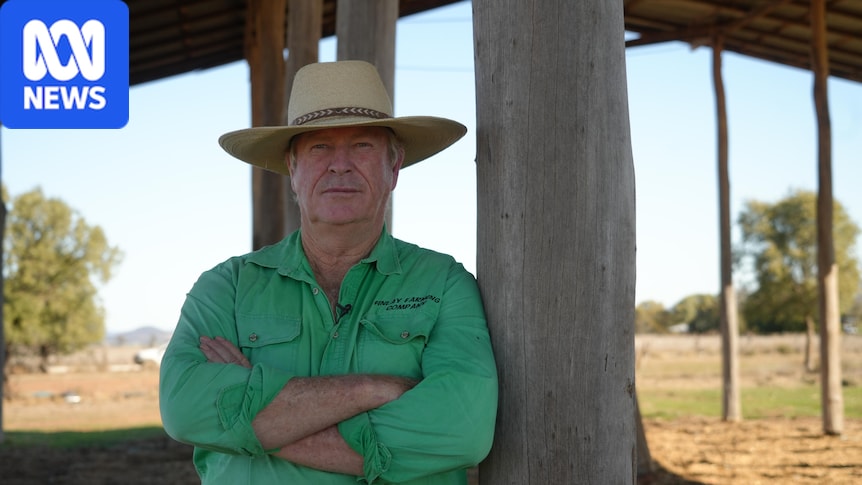 Drought cripples large swathes of southern Queensland amid severe hay shortage