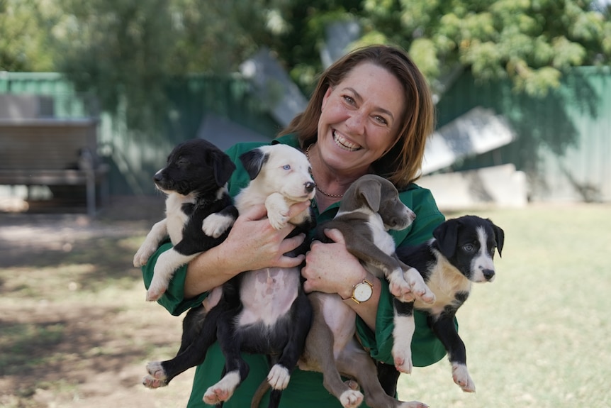 A woman holds four border collies puppies in her arms as she beams with glee.