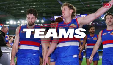 AFL Teams Round 22 2026