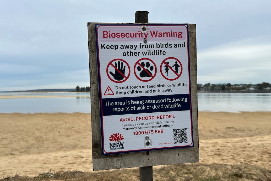 A biosecurity warning sign at a beach.