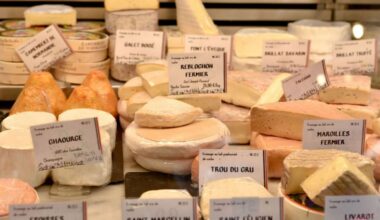 Cheese Lovers Unite: The Benefits of Full-Fat Dairy Documented in Study Without Cholesterol Rise or Weight Gain
