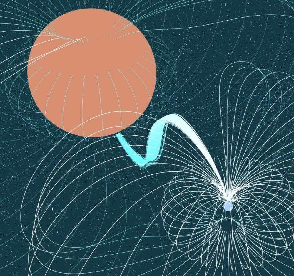 This iullustration shows a white dwarf star accreting material from its companion. New research says that this can explain at least one of the puzzling Long Period Radio Transients, mysterious radio signals that repeat with periods ranging from a few minutes to a few hours. Image Credit: Carl Knox (OzGrav, Swinburne University of Technology) and Joshua Preston Pritchard (CSIRO).