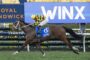 2349177.jpg | Just Horse Racing