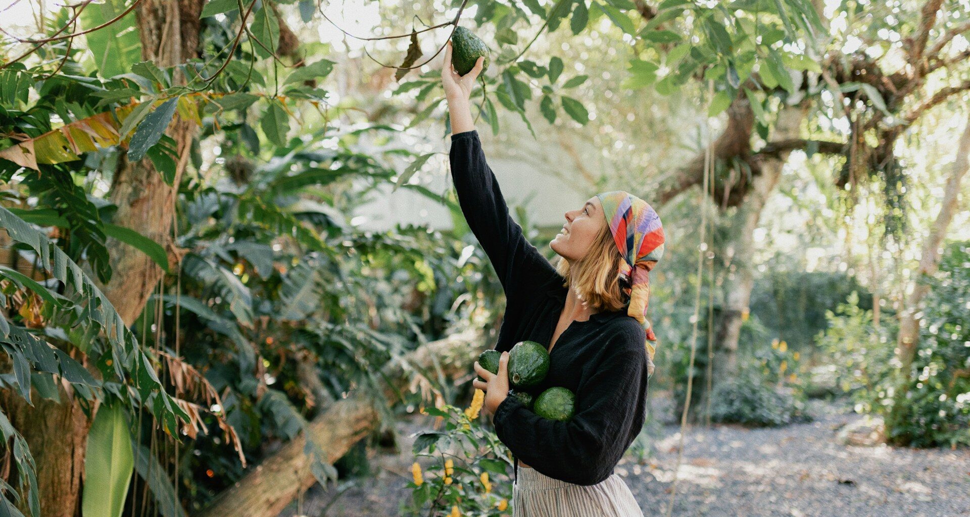 Avocado Trees Switch Sexes Twice A Day – This Ancient Gene Explains How