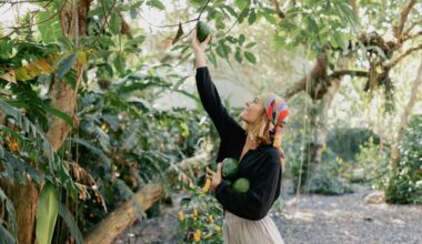 Avocado Trees Switch Sexes Twice A Day – This Ancient Gene Explains How