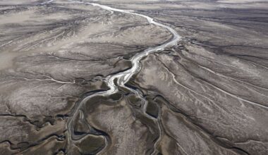 The World Is Running Out of River Sand, And That's a Massive Issue : ScienceAlert