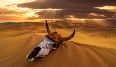 'Critical Transition': Earth's Chemistry Wobbled During Its 5 Biggest Mass Extinctions : ScienceAlert