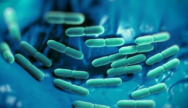 Machine learning maps changing immune response over time in sepsis