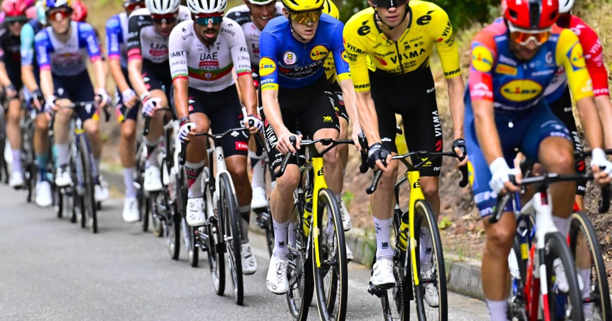 Team Visma | Lease a Bike | Team Visma