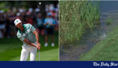 Golf ball becomes fish food