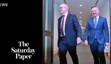Will Labor stop the fakery of carbon offsets?