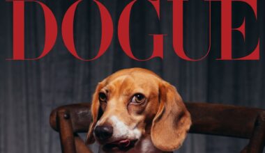 A Bad Bunny and a Beagle Walk Into a Restaurant…