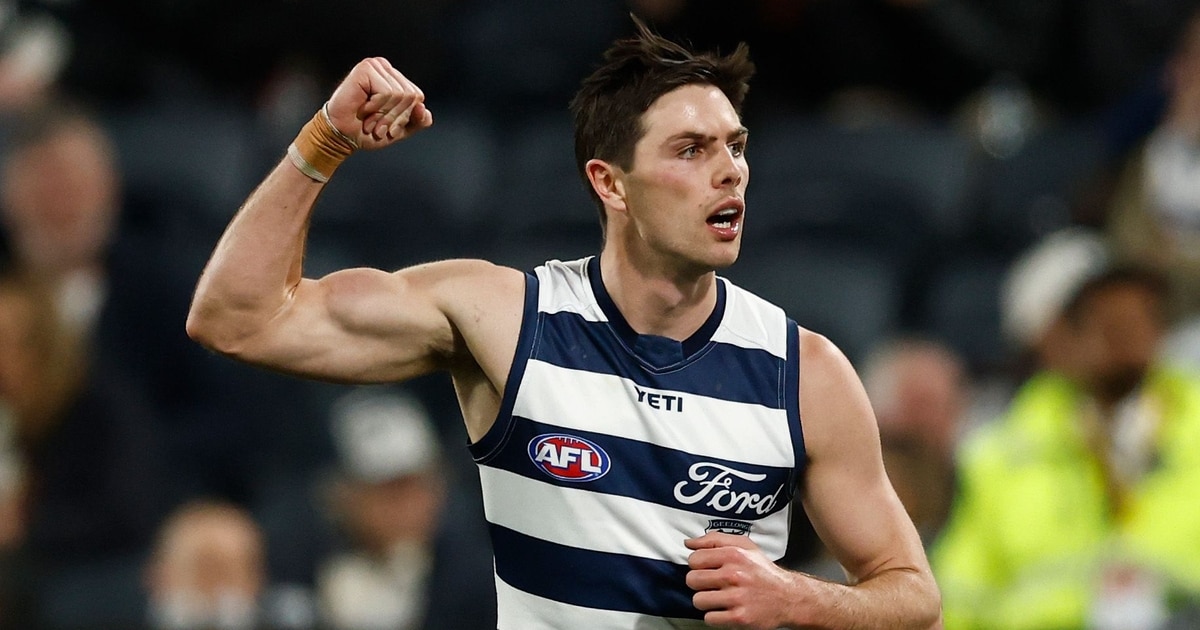Match report: Cats flex muscles against hapless Tigers to dodge wildcard final