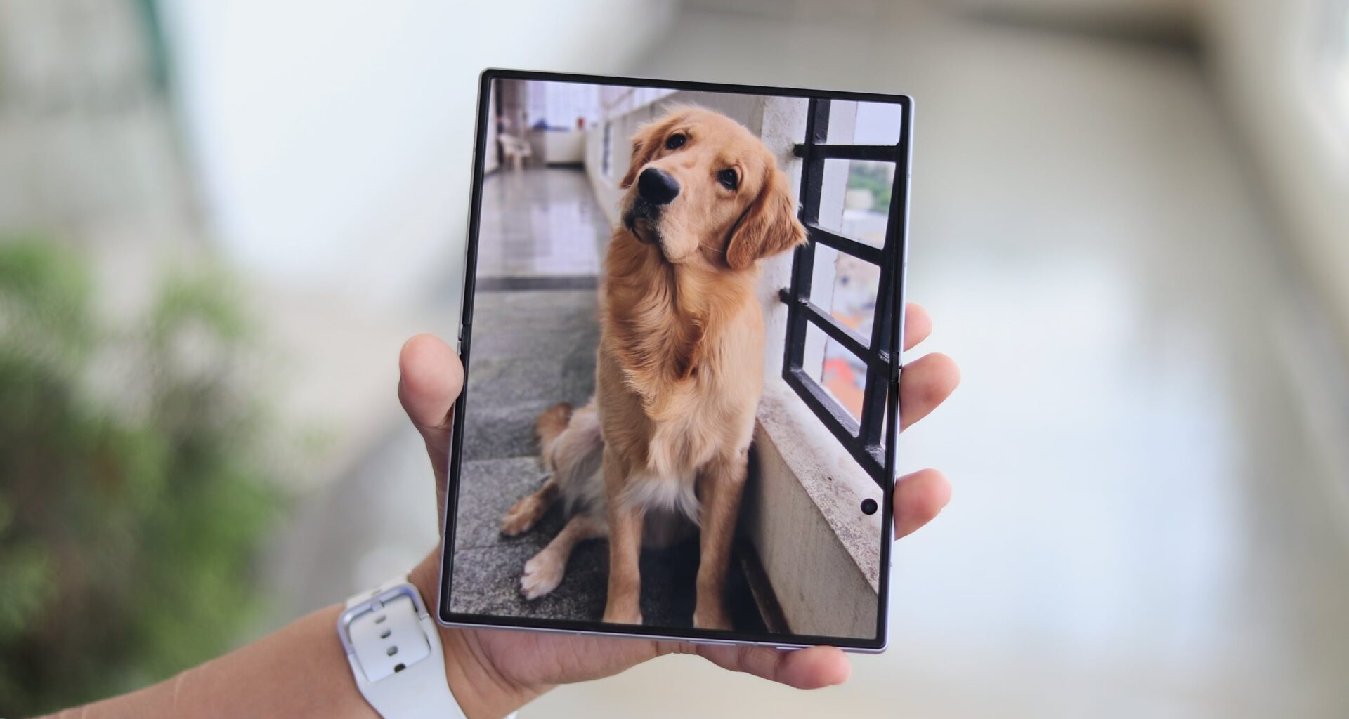 Invisible Samsung Gallery backups could be wasting your Galaxy phone storage