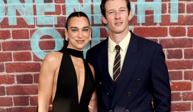 PHOTOS: Dua Lipa, Callum Turner and More Red Carpet Pics August 2026