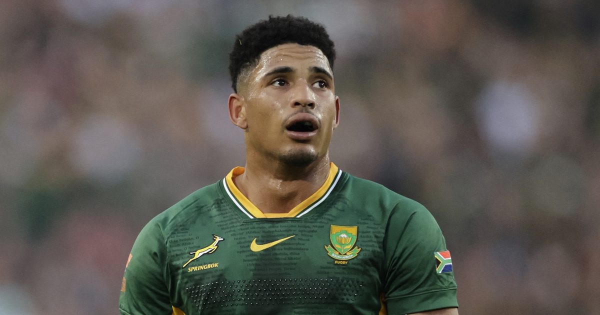 Springboks player ratings vs All Blacks