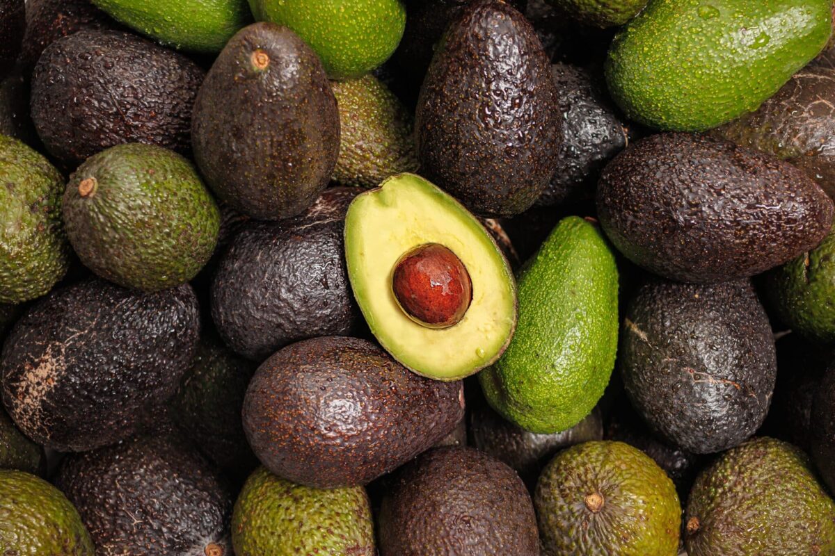 Hass avocados, with one cut open