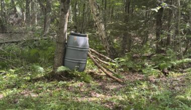 I hired a Maine guide in the past. Here’s what I’m learning about bear baiting on your own