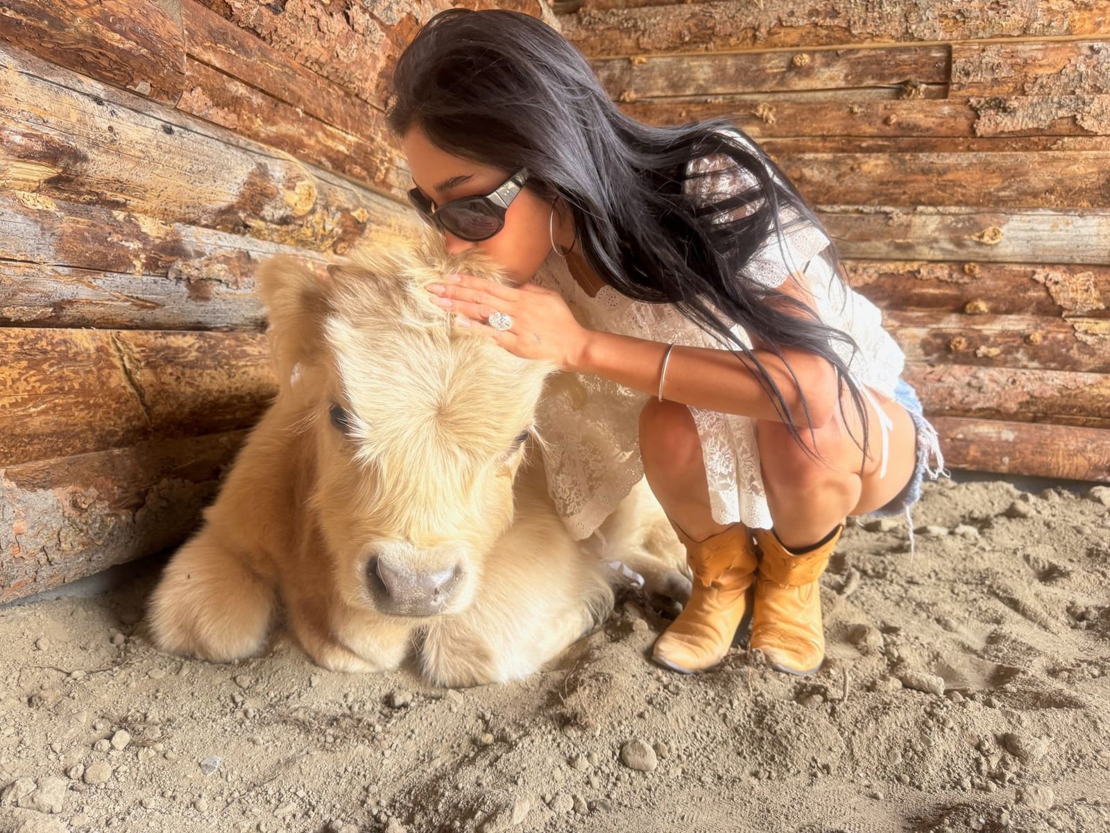 Image may contain Face Head Person Photography Portrait Animal Calf Cattle Cow Livestock and Mammal