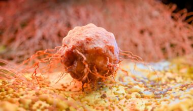 Circadian Oncology: Timing, Cancer Treatment, and Patient Outcomes