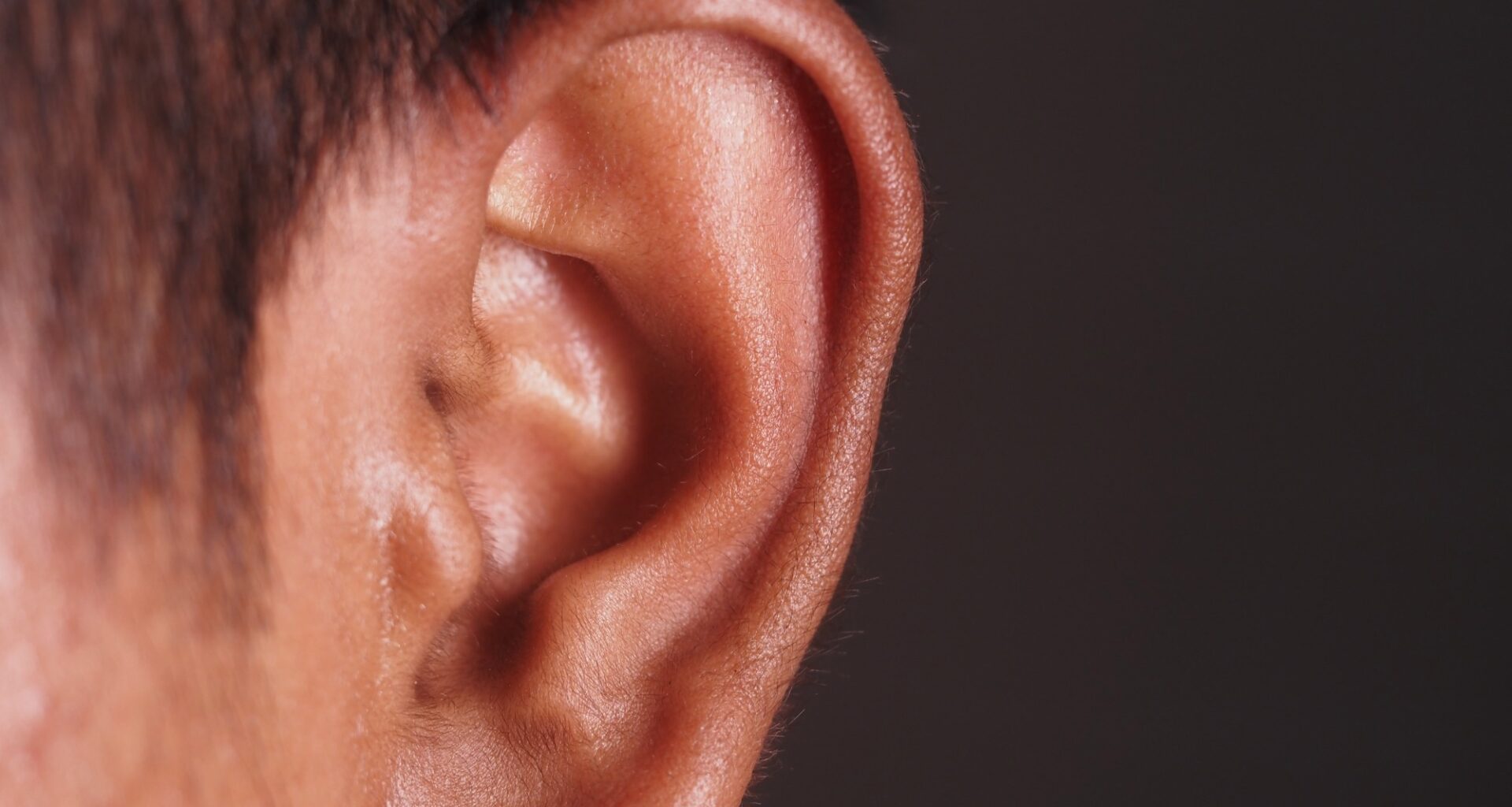 Ear Microbiome Composition and Its Role in Health and Disease