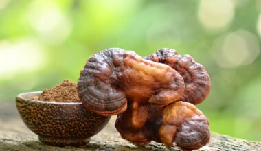 Review: Medicinal and edible fungal polysaccharide: sources, preparation, structural characteristics, and health benefit. Image Credit: pongpol_thailand / Shutterstock