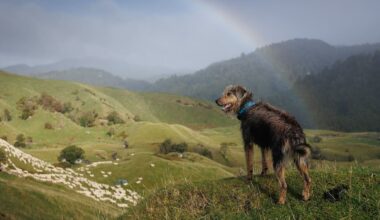 More international success for Gisborne photographer Rebecca Williams
