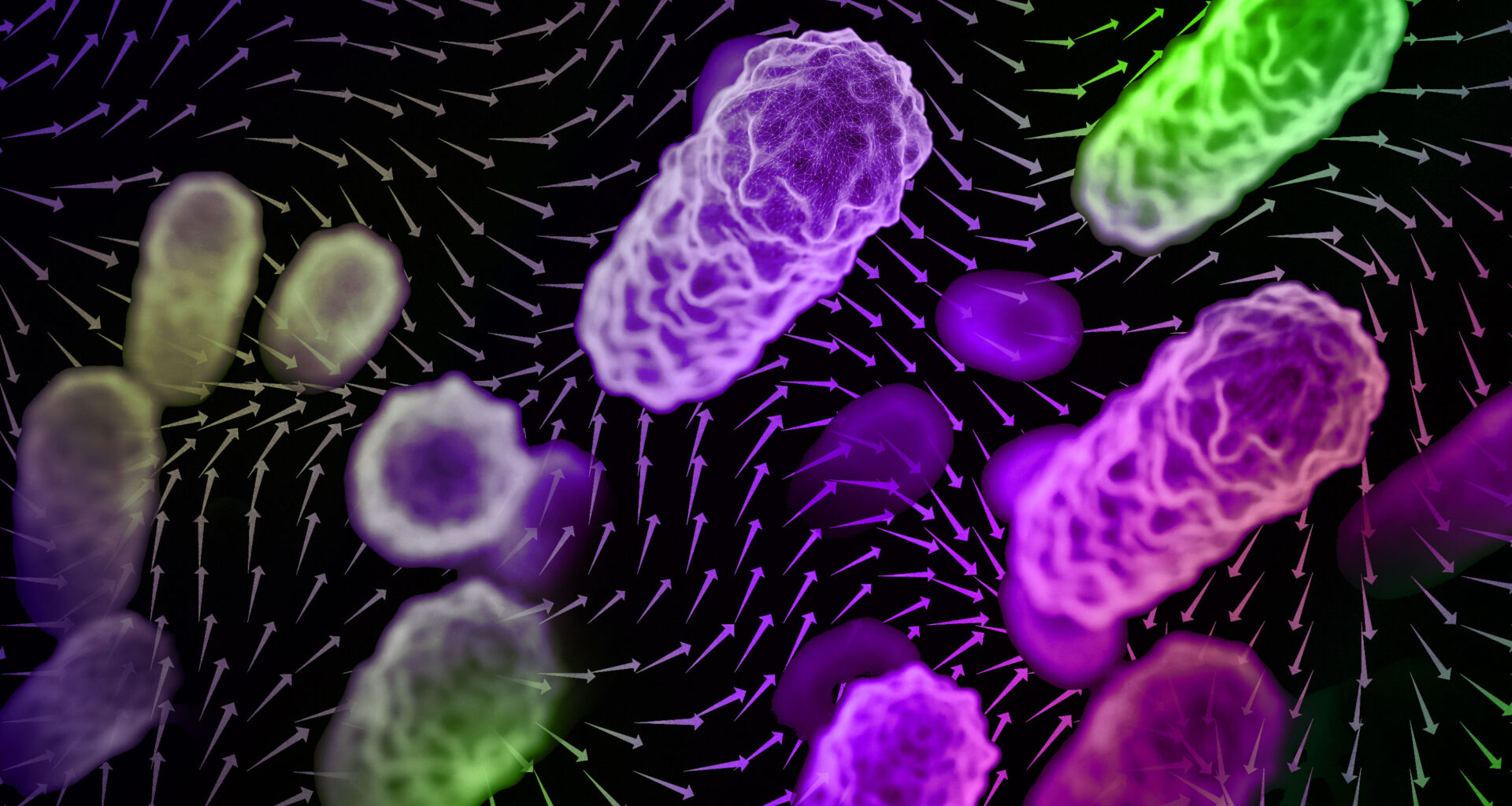 Indoor Airflow Key to Airborne Disease Spread