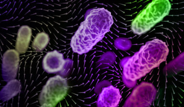 Indoor Airflow Key to Airborne Disease Spread
