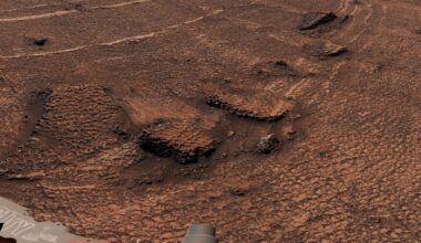 Mars rover finds unusual honeycomb landscape – Newsreel