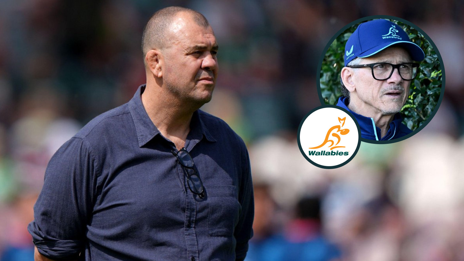 Les Kiss on how Michael Cheika's Waratahs return could aid the Wallabies