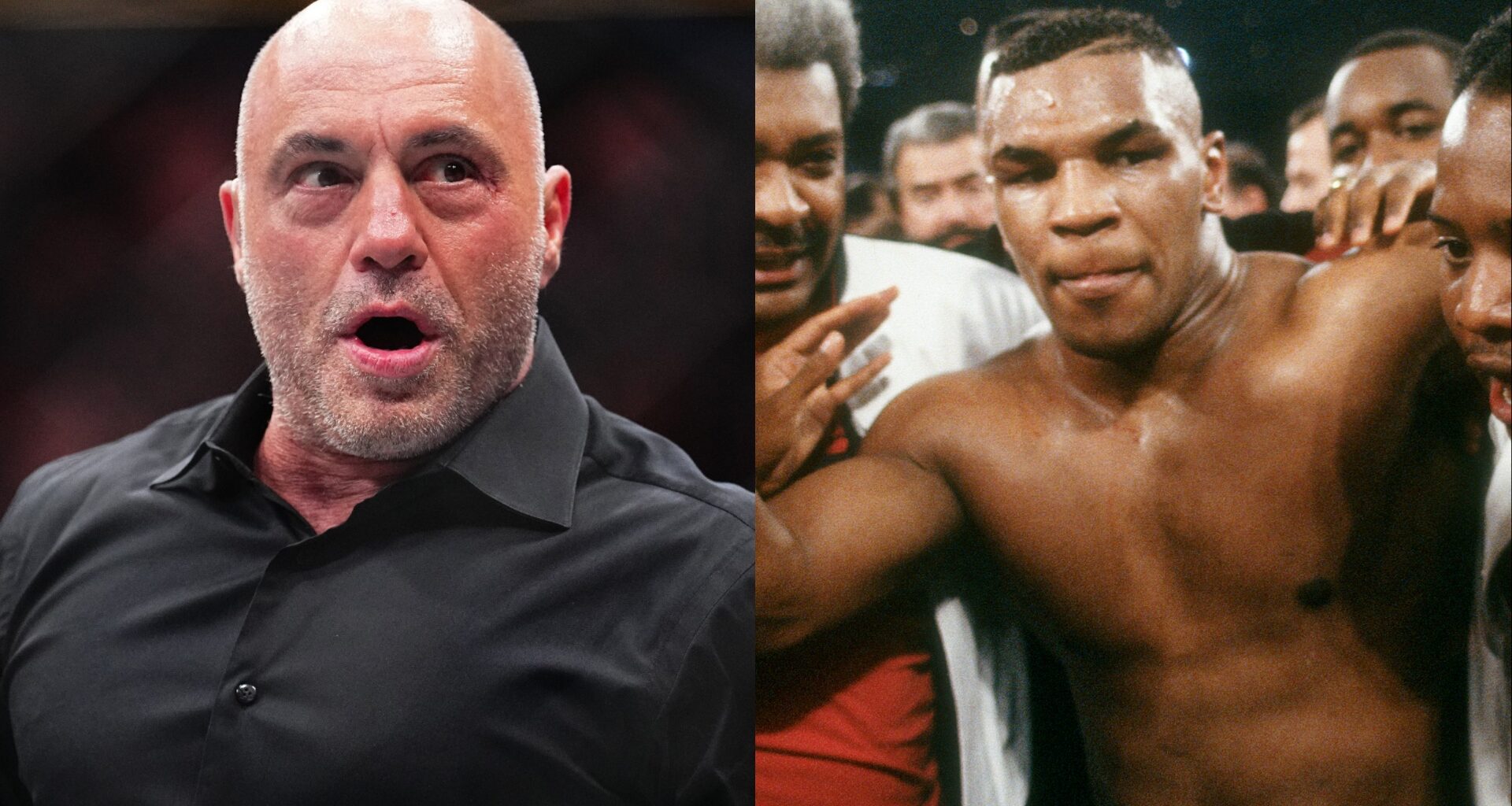 Joe Rogan and Mike Tyson